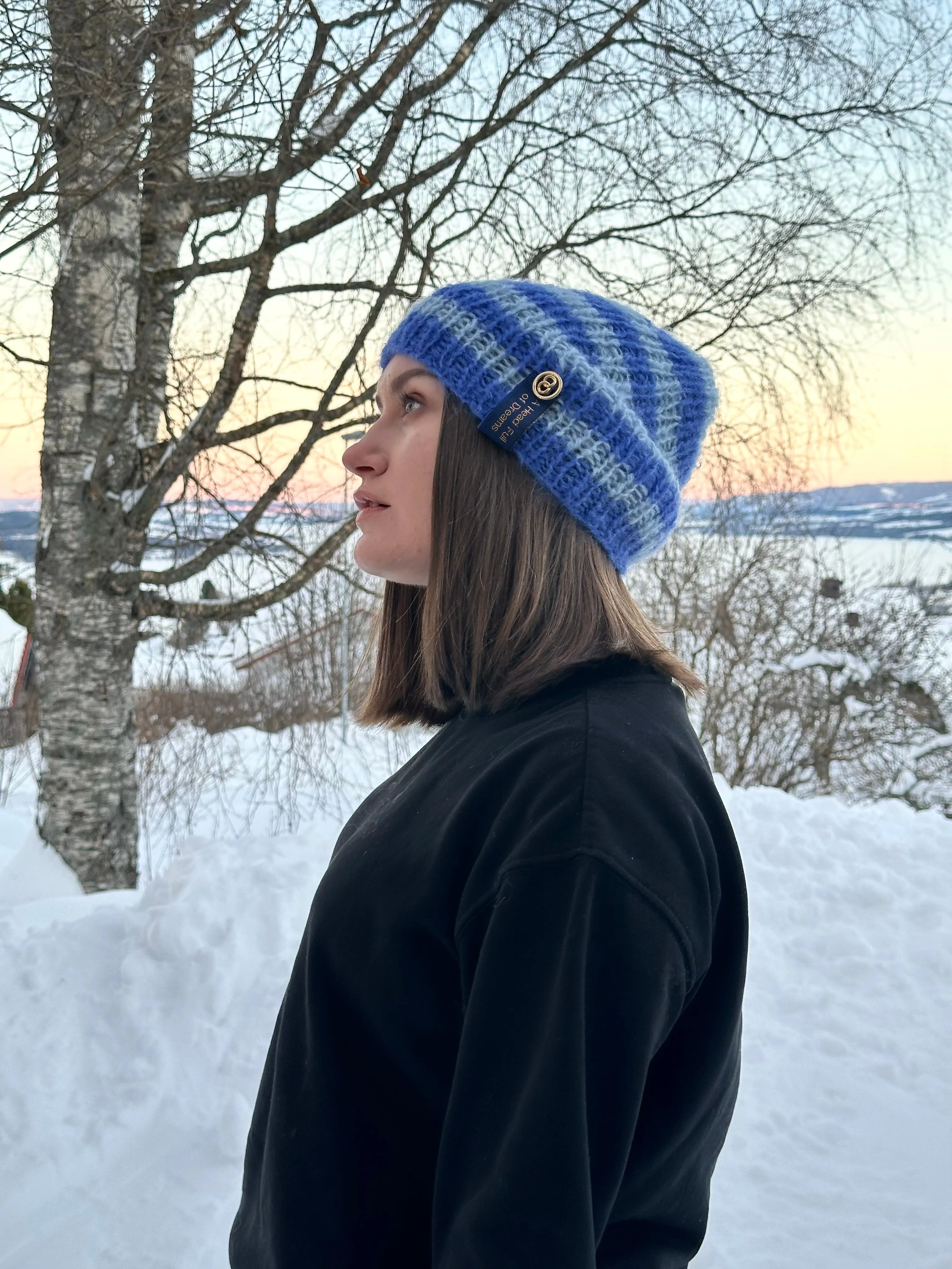 Winter Stripes