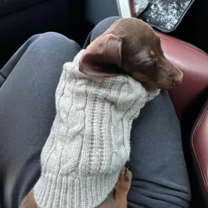 Winter Wear Warm Pet Autumn -Winter Clothes